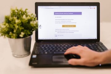 Person using a laptop to read an email indoors beside a potted plant.